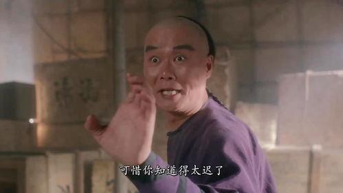 黄飞鸿之铁鸡斗蜈蚣,传奇武术对决，揭秘铁鸡神功之谜  第3张